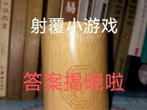 江湖秘密揭晓：射覆第十二关答案全面解析与分享