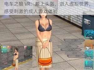 电车之狼 VR：戴上头盔，进入虚拟世界，感受刺激的成人游戏体验