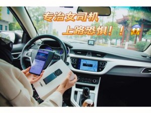 2018 老司机导航——专业、精准、智能的驾车神器