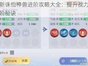 梦幻新诛仙神兽进阶攻略大全：提升战力，掌握进阶秘诀