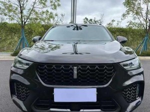 weyvv5 国产的 suv，全新智能科技，畅享舒适驾乘体验