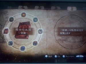 猎天使魔女2：揭秘绝顶碗轮获取条件，玩家必备攻略指南