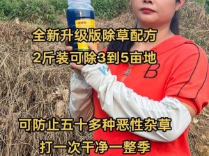 迷你世界新手除草攻略详解：轻松掌握高效除草方法与技巧