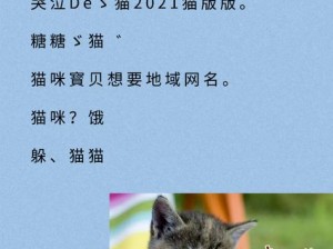 猫咪 MV 最新地域网名怎么改？教你轻松修改猫咪 MV 地域网名