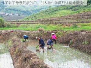 儿子耕了母亲荒废的田，引入微生物菌剂让荒地重焕生机