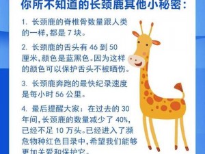 介绍长颈鹿蒂奈的傲慢表情包