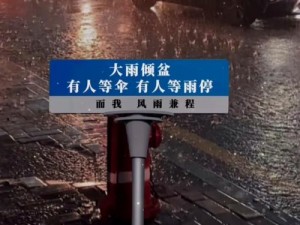 雨が降ったりやんだりですが降らない日に活躍高性能傘雨よけ君