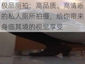 极品厕拍：高品质、高清晰的私人厕所拍摄，给你带来身临其境的视觉享受