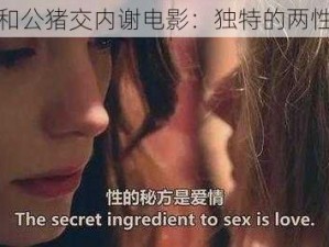 女人和公猪交内谢电影：独特的两性探索