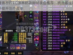 魔兽世界9.0版本奶骑胸部装备推荐：挑选最佳胸甲提升治疗效率