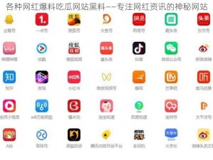 各种网红爆料吃瓜网站黑料——专注网红资讯的神秘网站