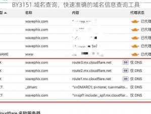 BY3151 域名查询，快速准确的域名信息查询工具