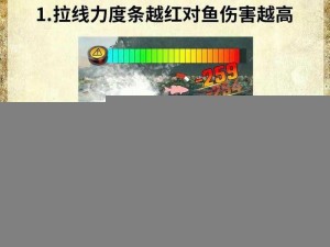 欢乐钓鱼大师钓鱼实操全攻略：顶尖技巧详解