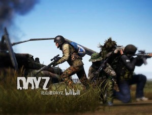 DayZ独立版生存秘籍：实战技巧解析与指南