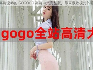 高清流畅的 GOGOGO 高清中文完整版，带来极致视觉体验