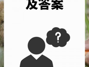 史上最囧挑战第二季之关卡揭秘：衣物上的洞洞奇趣解密答案揭晓