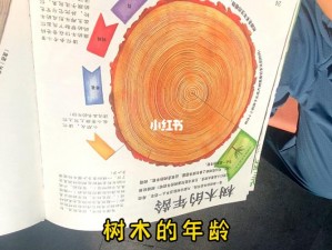 以年轮流转，岁月如画——探索年轮相关截图预览之旅