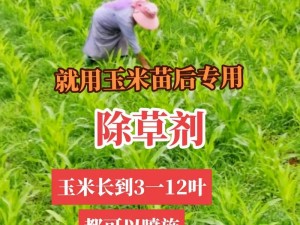 高效除草，草死我有