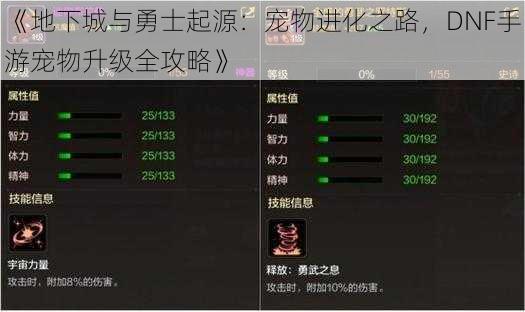 《地下城与勇士起源：宠物进化之路，DNF手游宠物升级全攻略》