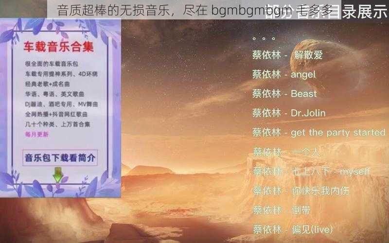 音质超棒的无损音乐，尽在 bgmbgmbgm 毛多多