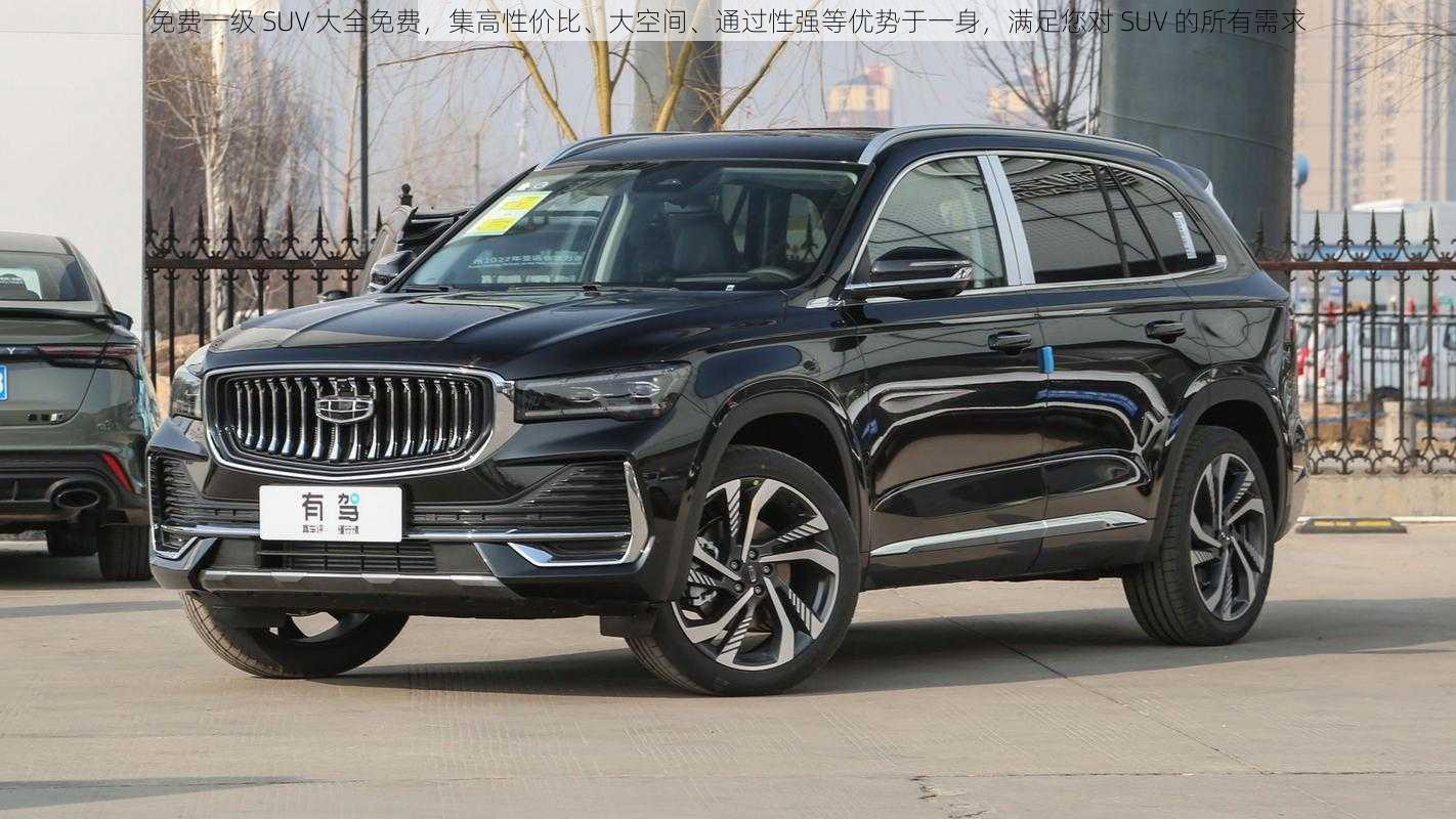 免费一级 SUV 大全免费，集高性价比、大空间、通过性强等优势于一身，满足您对 SUV 的所有需求