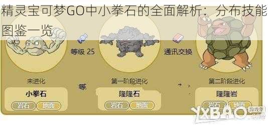 精灵宝可梦GO中小拳石的全面解析：分布技能图鉴一览