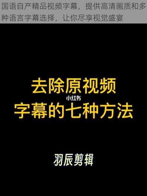 国语自产精品视频字幕，提供高清画质和多种语言字幕选择，让你尽享视觉盛宴