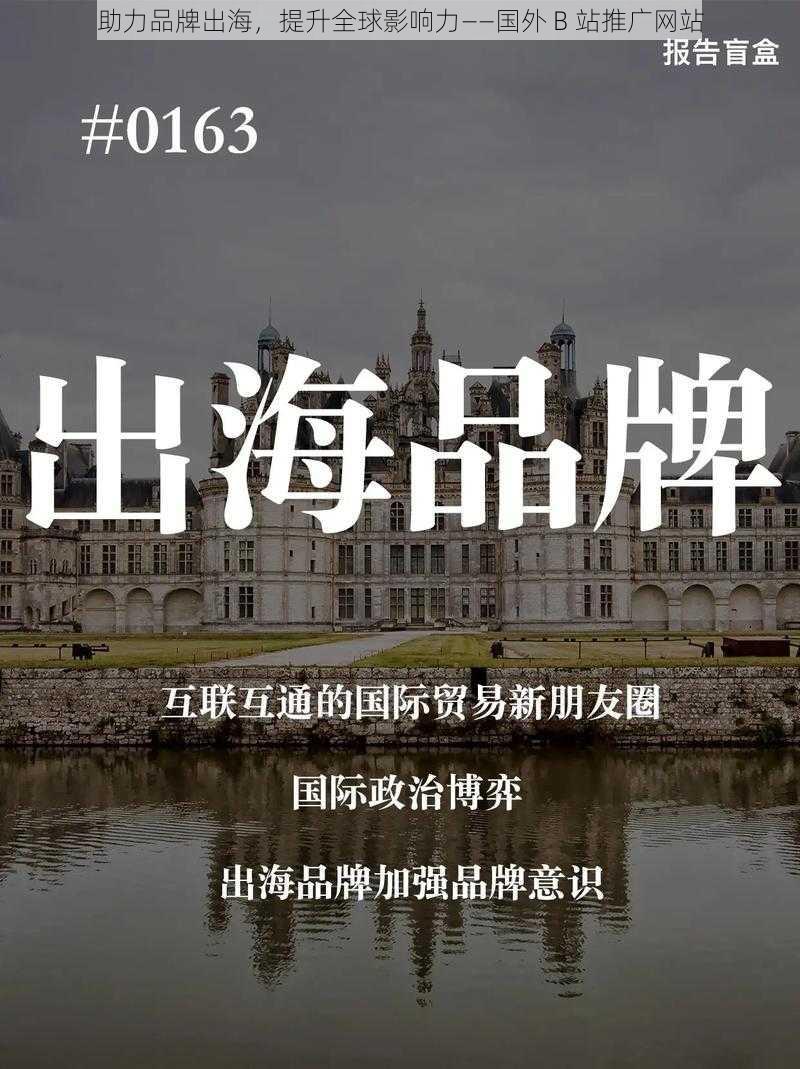 助力品牌出海，提升全球影响力——国外 B 站推广网站