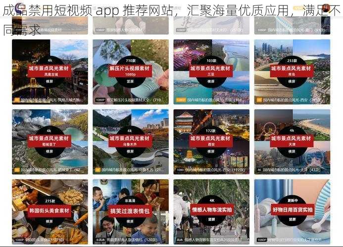 成品禁用短视频 app 推荐网站，汇聚海量优质应用，满足不同需求