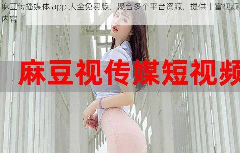 麻豆传播媒体 app 大全免费版，聚合多个平台资源，提供丰富视频内容