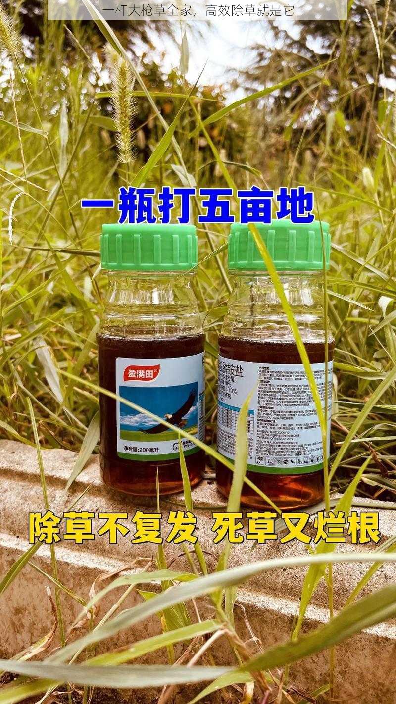 一杆大枪草全家，高效除草就是它