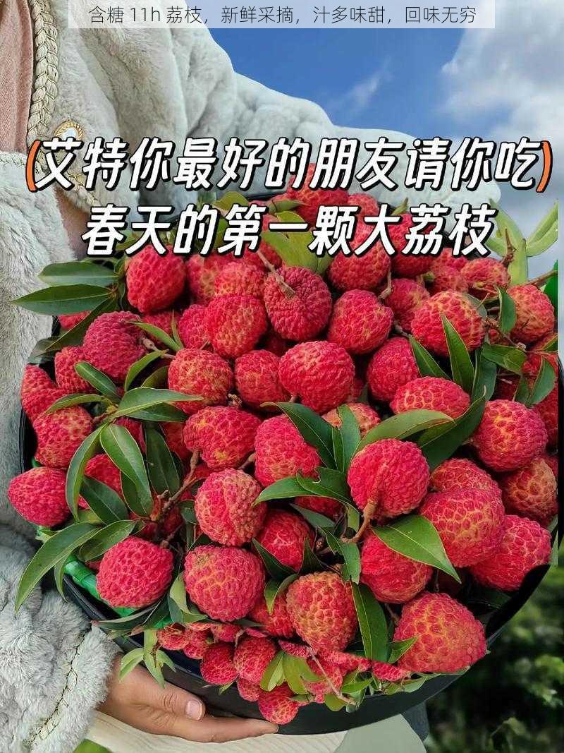 含糖 11h 荔枝，新鲜采摘，汁多味甜，回味无穷