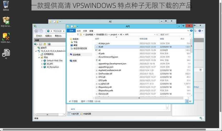 一款提供高清 VPSWINDOWS 特点种子无限下载的产品