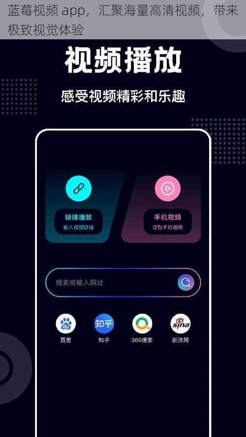 蓝莓视频 app，汇聚海量高清视频，带来极致视觉体验