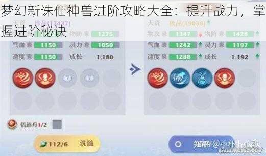 梦幻新诛仙神兽进阶攻略大全：提升战力，掌握进阶秘诀