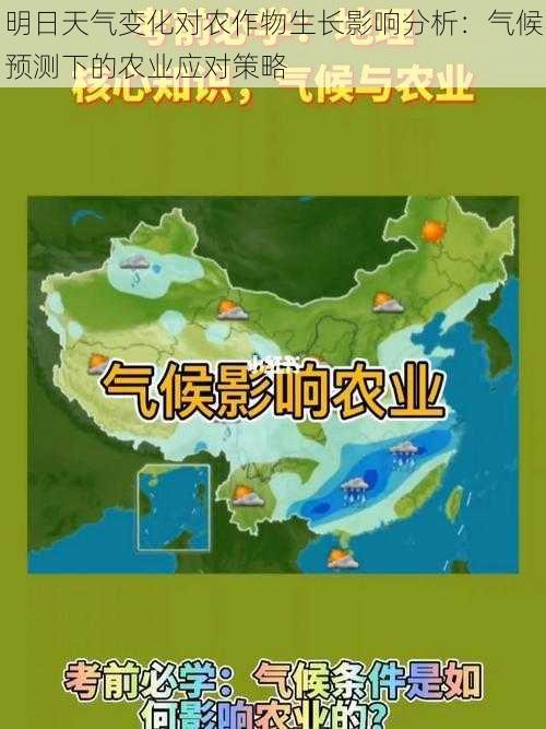 明日天气变化对农作物生长影响分析：气候预测下的农业应对策略