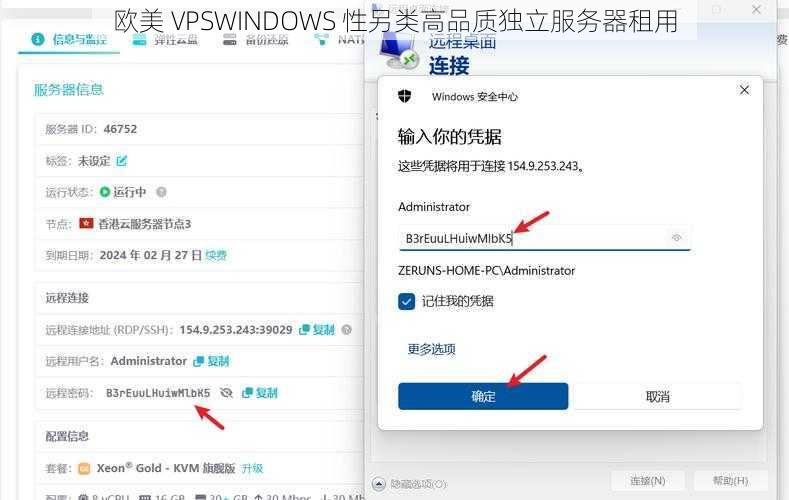 欧美 VPSWINDOWS 性另类高品质独立服务器租用