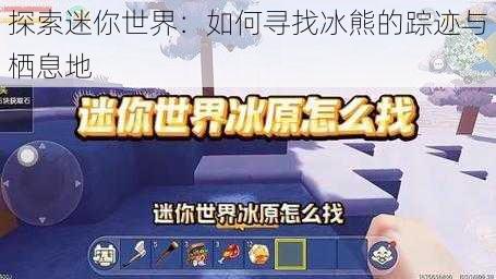 探索迷你世界：如何寻找冰熊的踪迹与栖息地