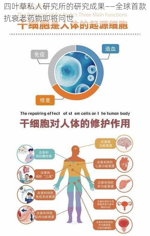 四叶草私人研究所的研究成果——全球首款抗衰老药物即将问世