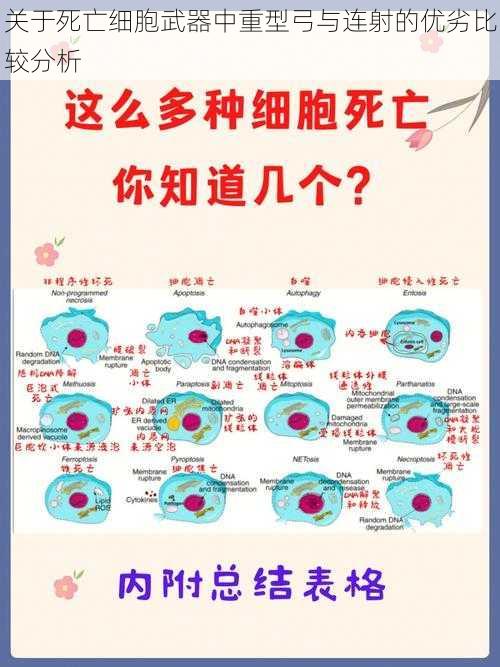 关于死亡细胞武器中重型弓与连射的优劣比较分析