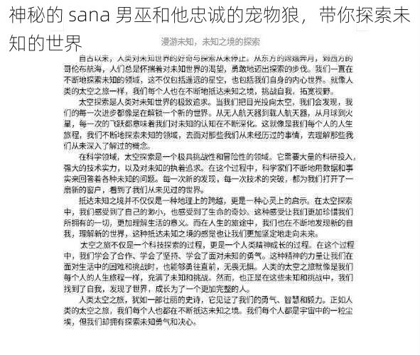 神秘的 sana 男巫和他忠诚的宠物狼，带你探索未知的世界