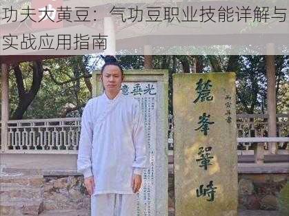 功夫大黄豆：气功豆职业技能详解与实战应用指南