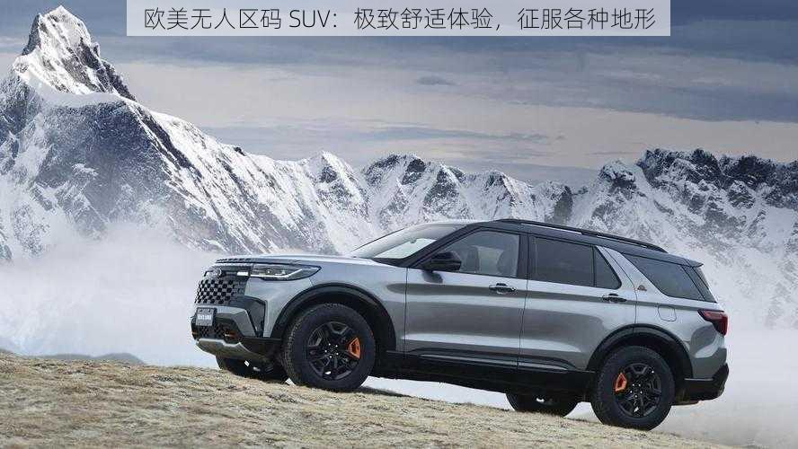 欧美无人区码 SUV：极致舒适体验，征服各种地形