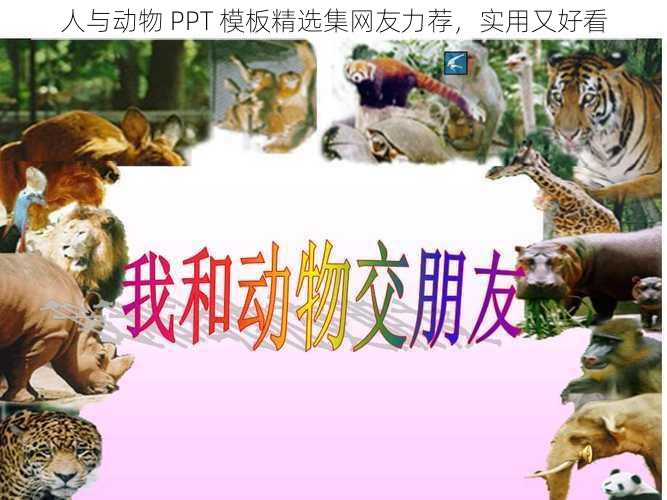 人与动物 PPT 模板精选集网友力荐，实用又好看