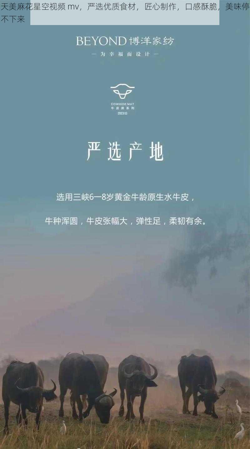 天美麻花星空视频 mv，严选优质食材，匠心制作，口感酥脆，美味停不下来