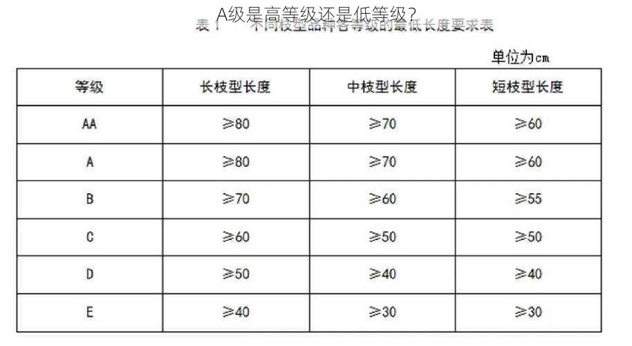 A级是高等级还是低等级？