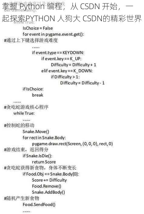 掌握 Python 编程，从 CSDN 开始，一起探索PYTHON 人狗大 CSDN的精彩世界