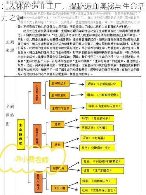 ：人体的造血工厂，揭秘造血奥秘与生命活力之源