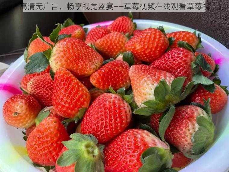 高清无广告，畅享视觉盛宴——草莓视频在线观看草莓视