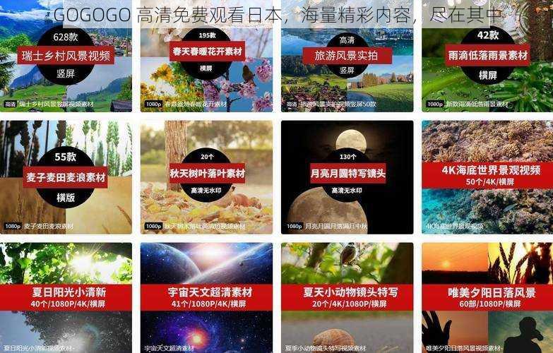 GOGOGO 高清免费观看日本，海量精彩内容，尽在其中